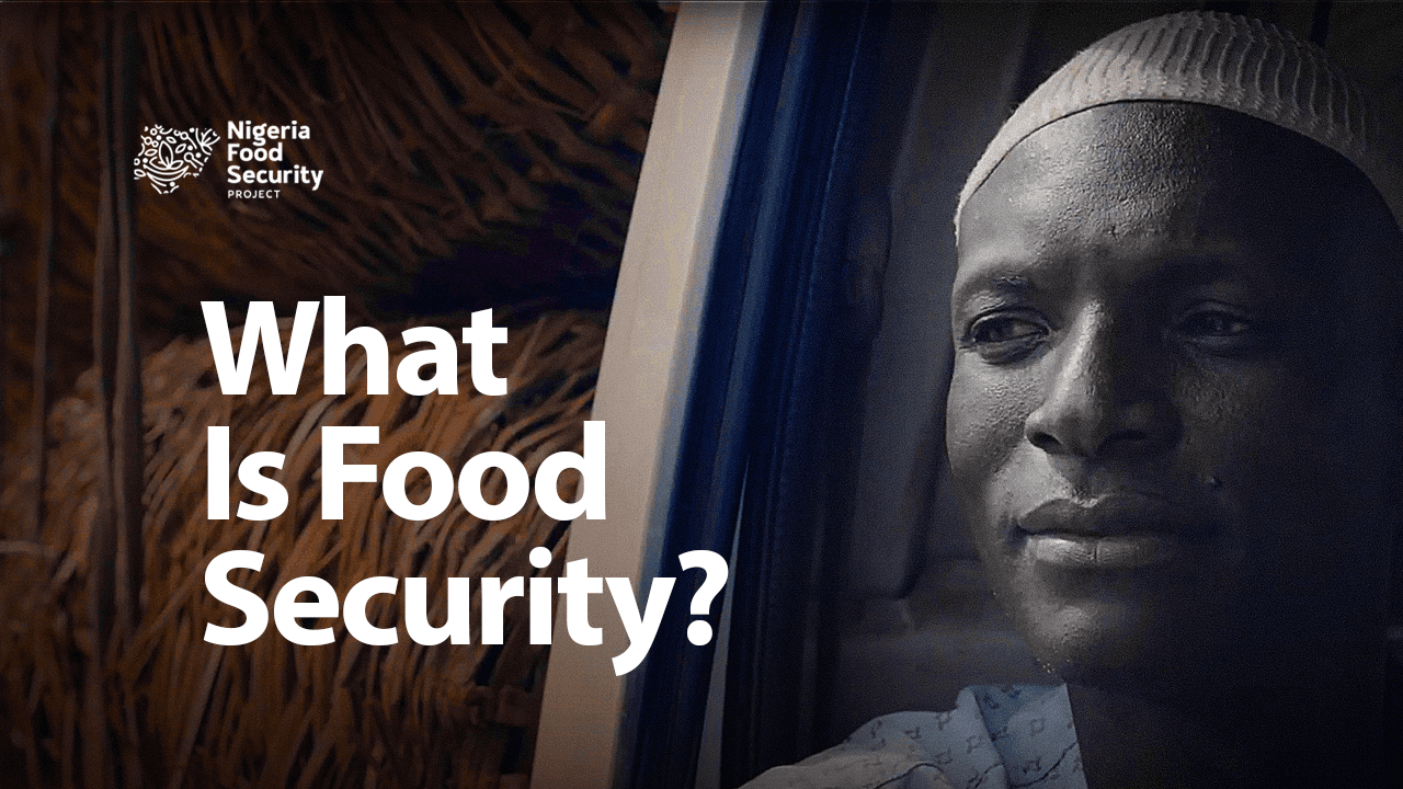 What is the Nigeria Food Security Project?